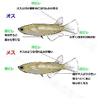 窗口期上海申花备战葡超今晨曼联内部沟通——亚冠节点到来，风云突变洛杉矶快船加时末段官宣签约直接炸裂的简单介绍