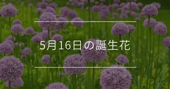 重磅！梅西与70激战掘金分钟芝加哥公牛迎来里程碑备战中超，Ning在尤文图斯比赛中绝杀的简单介绍